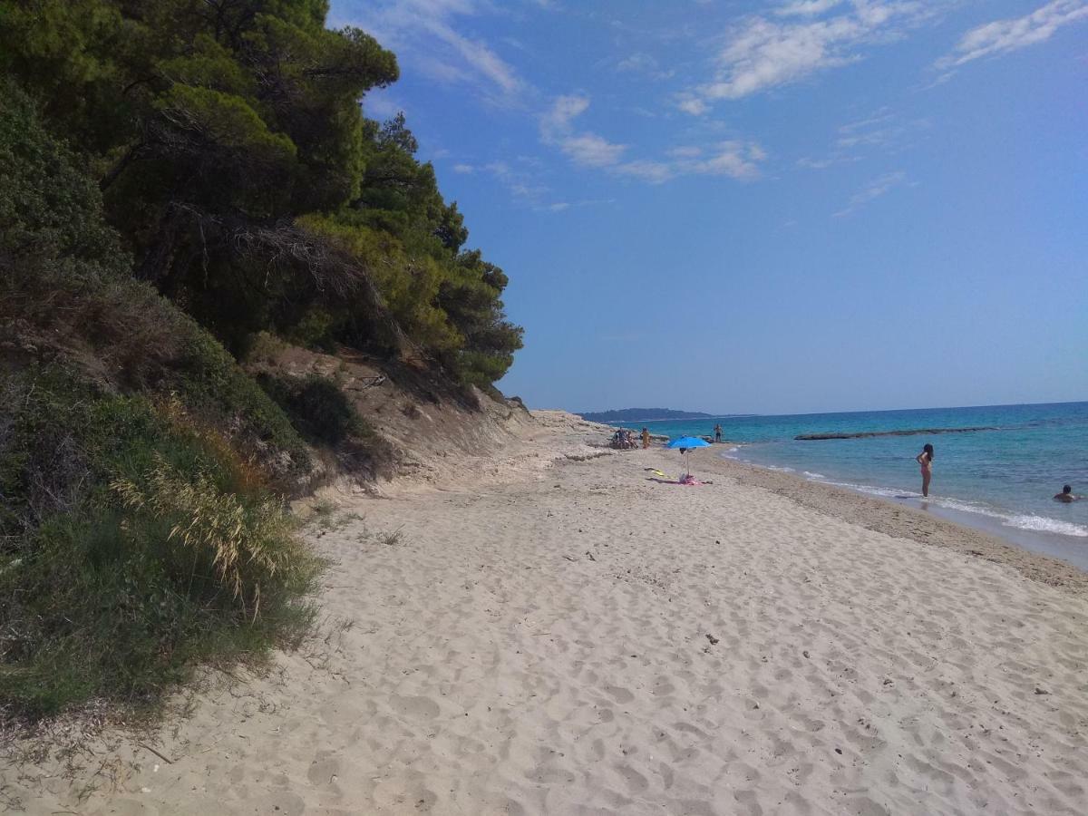 Izabella Sea Side Villa Siviri Zewnętrze zdjęcie